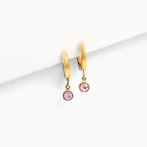 Birthstone Charm Hoop Earrings