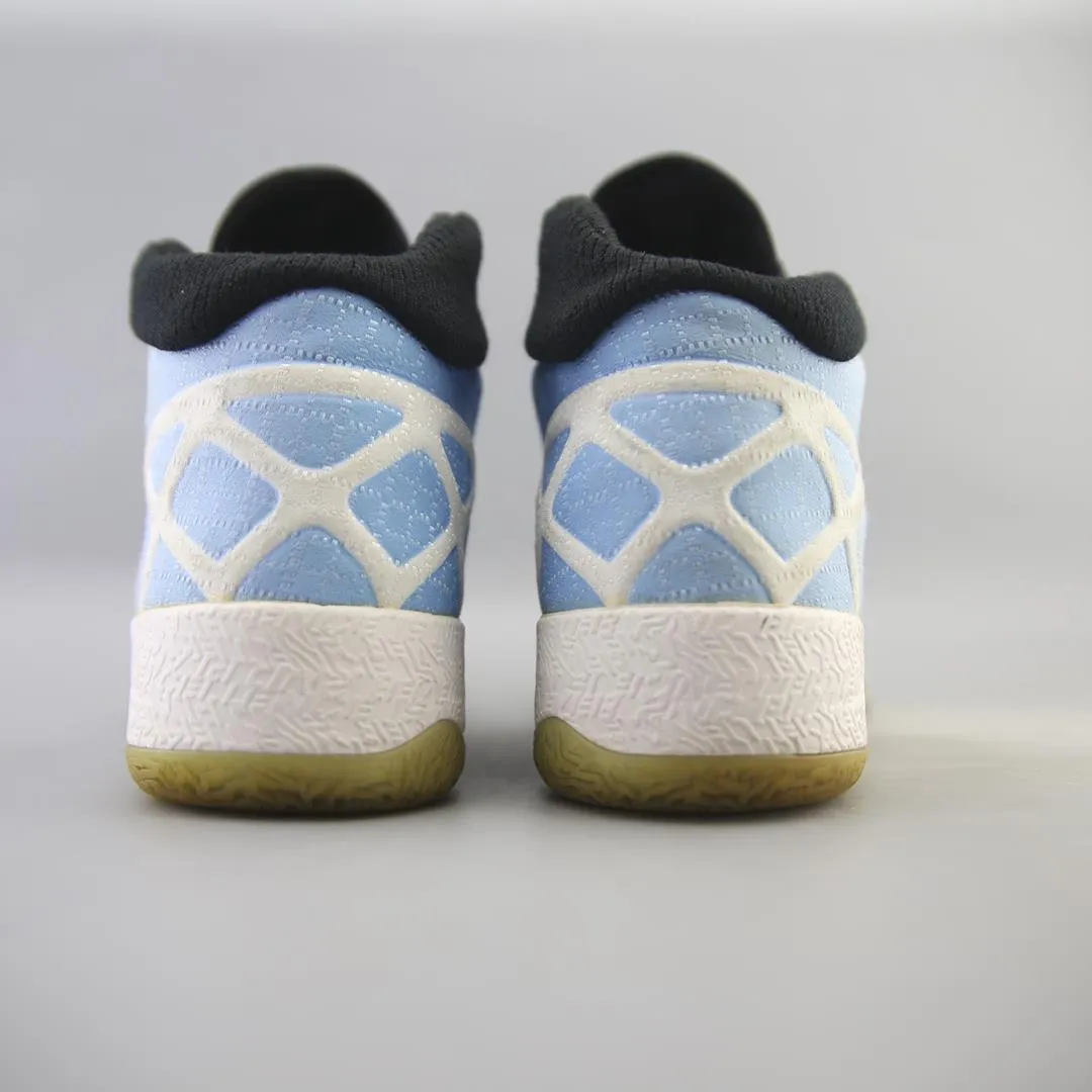 JORDAN AIR XXX UNC